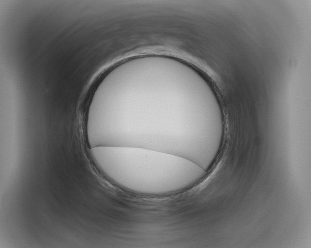 X0000114541498200910190921