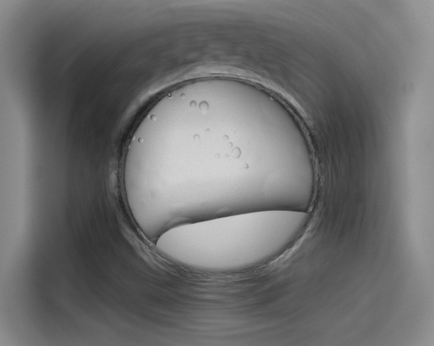 X0000114541499200910190921