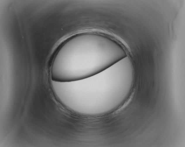 X0000114541501200910190921
