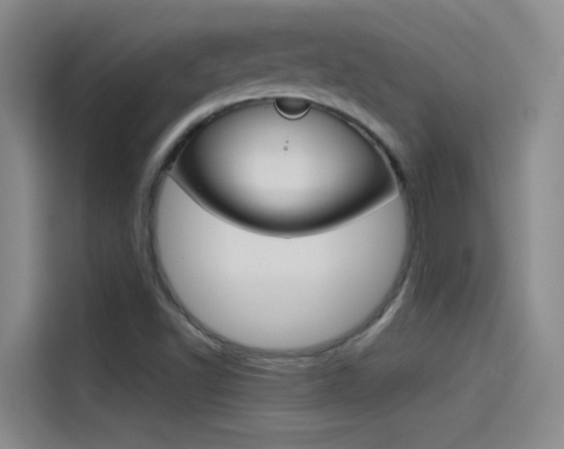 X0000114541502200910190921