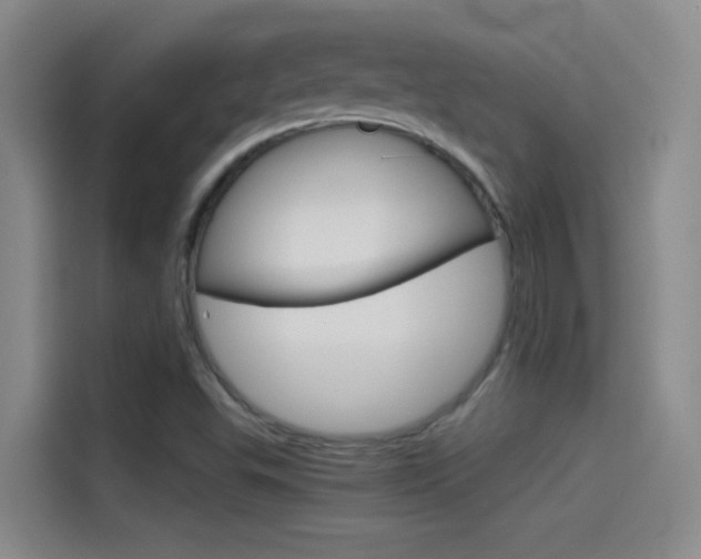 X0000114541503200910190921