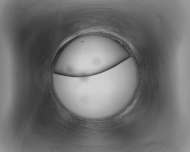 X0000114541505200910190921