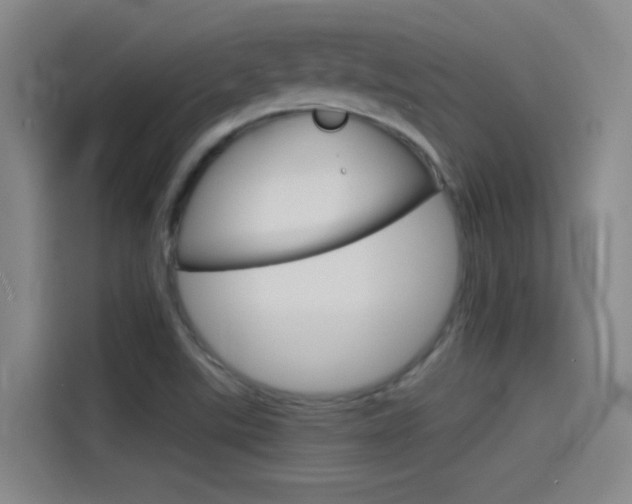 X0000114541507200910190921