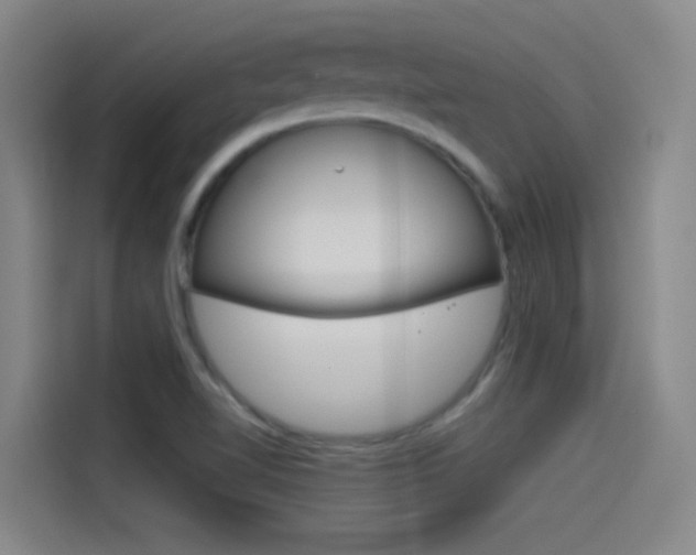 X0000114541510200910190921