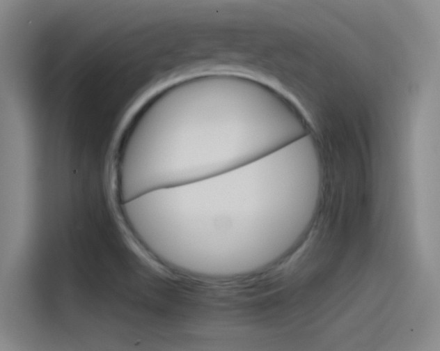 X0000114541511200910190921