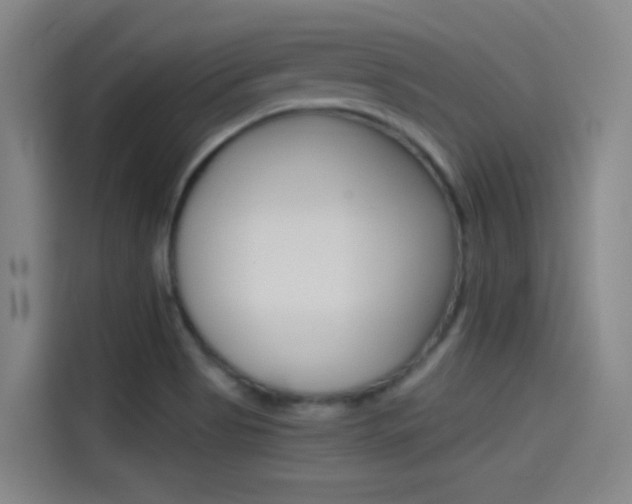 X0000114541513200910190921