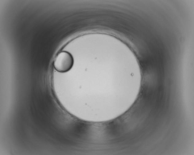 X0000114541514200910190921