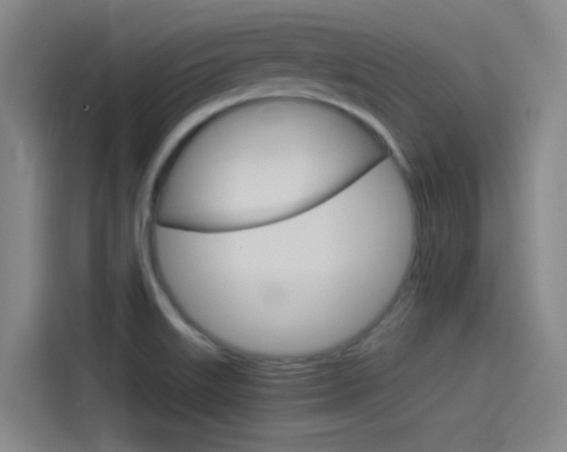 X0000114541515200910190921