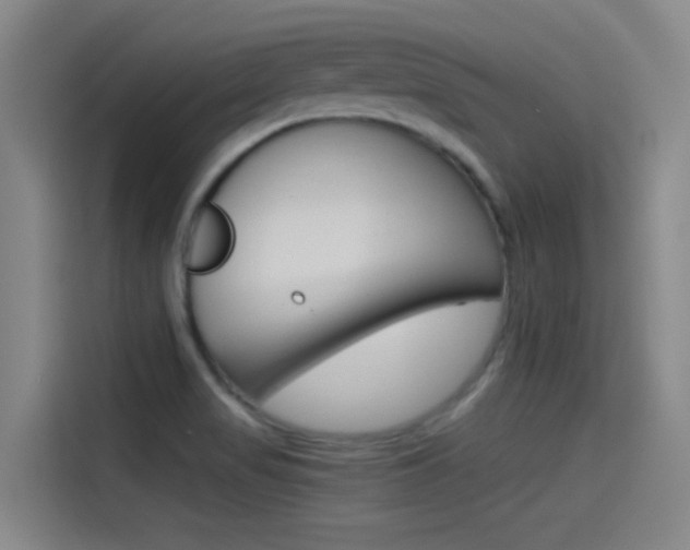 X0000114541517200910190921