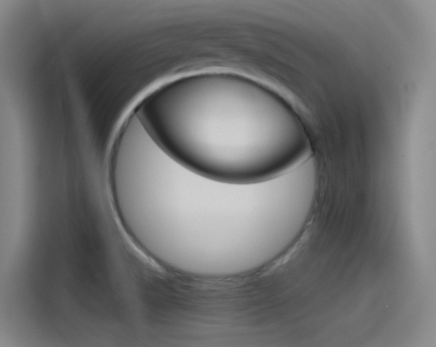 X0000114541518200910190921
