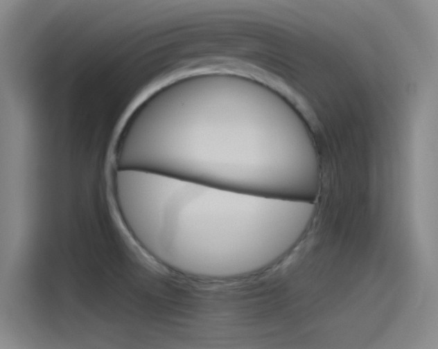 X0000114541522200910190921