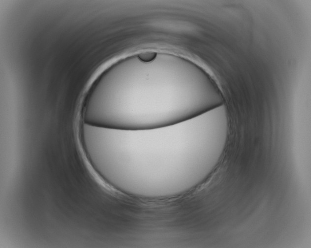 X0000114541523200910190921