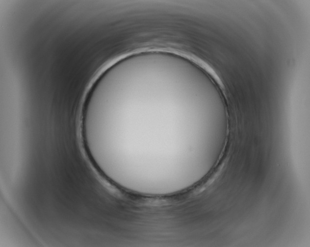 X0000114541525200910190921