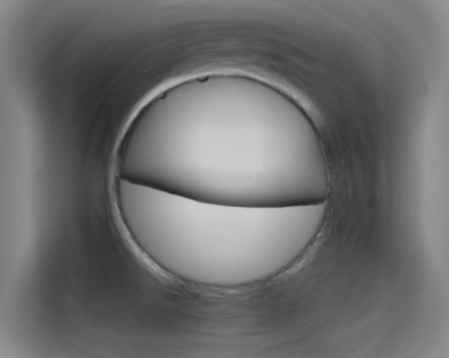 X0000114541526200910190921