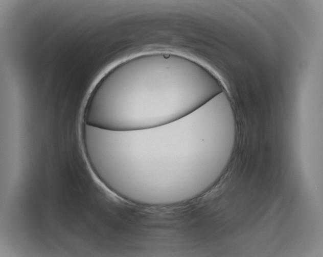 X0000114541527200910190921