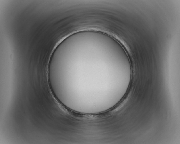 X0000114541529200910190921