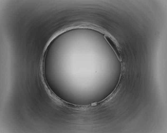 X0000114541530200910190921