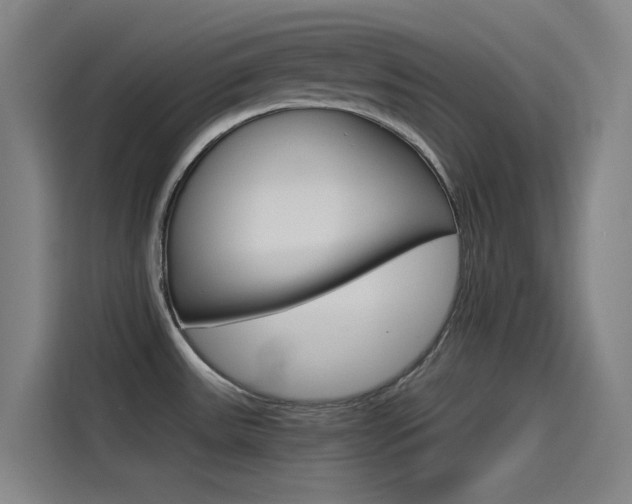 X0000114541531200910190921