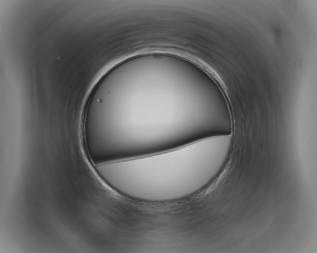X0000114541533200910190921