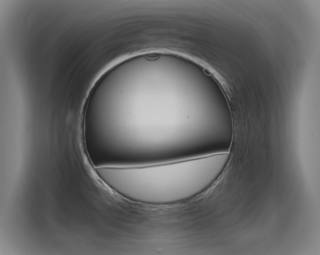 X0000114541534200910190921