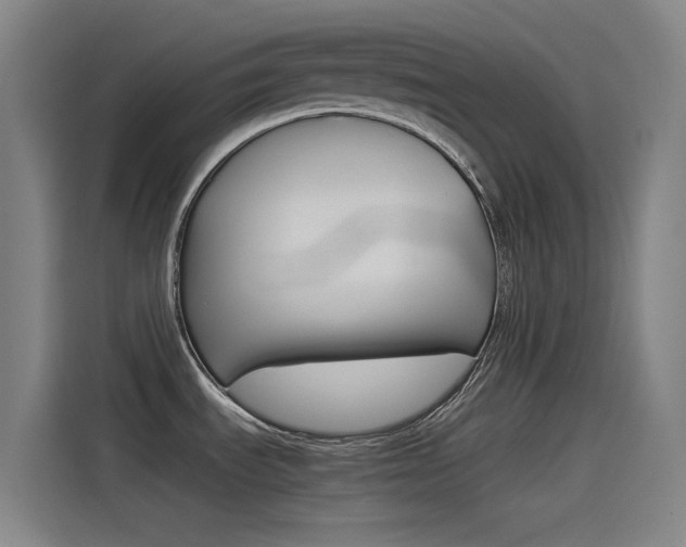 X0000114541535200910190921