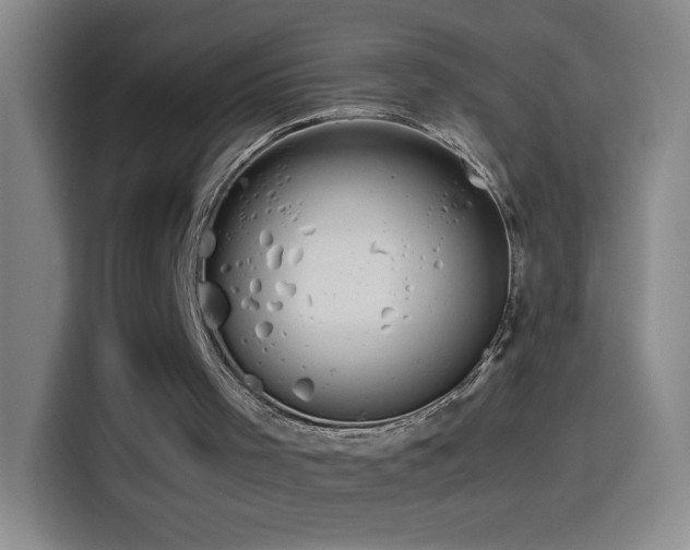 X0000114540001200910191351