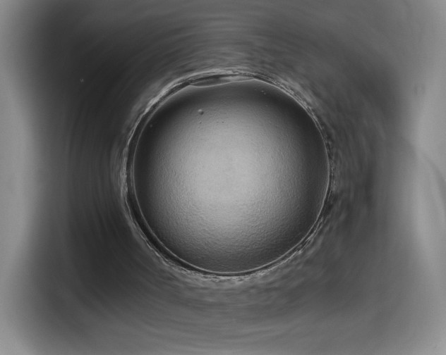 X0000114540002200910191351