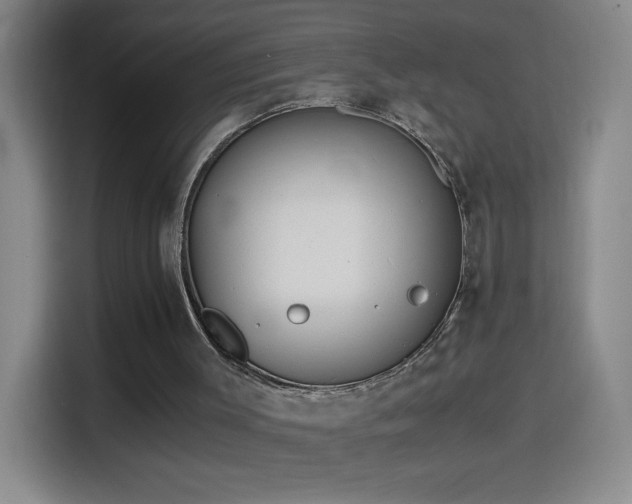 X0000114540003200910191351