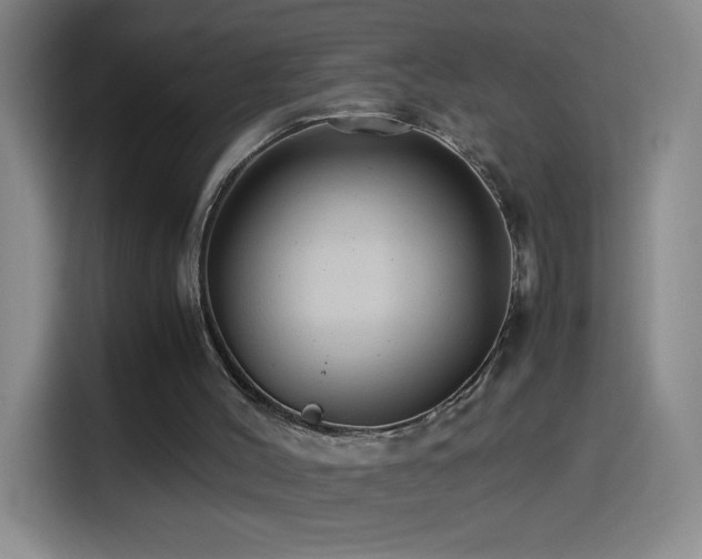 X0000114540004200910191351