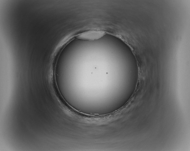 X0000114540005200910191351