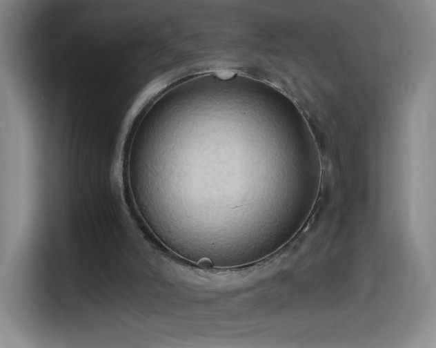 X0000114540006200910191351