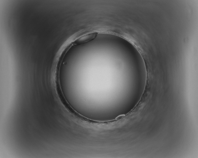 X0000114540007200910191351