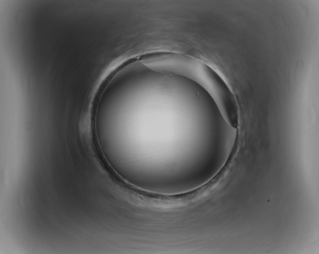 X0000114540008200910191351