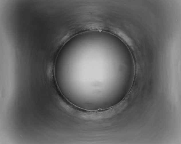 X0000114540009200910191351