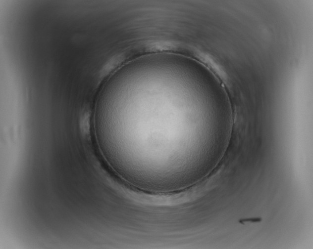 X0000114540010200910191351