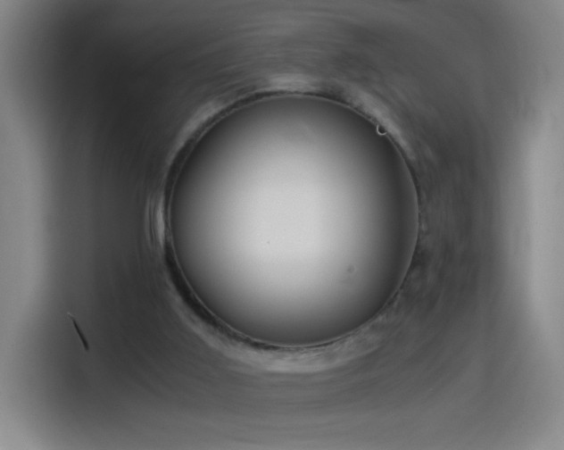 X0000114540011200910191351