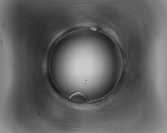 X0000114540012200910191351