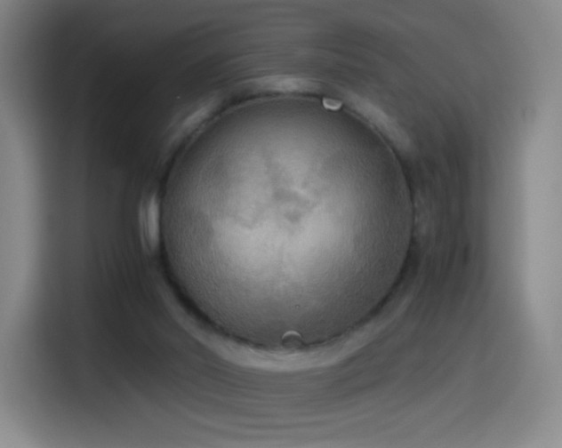 X0000114540014200910191351