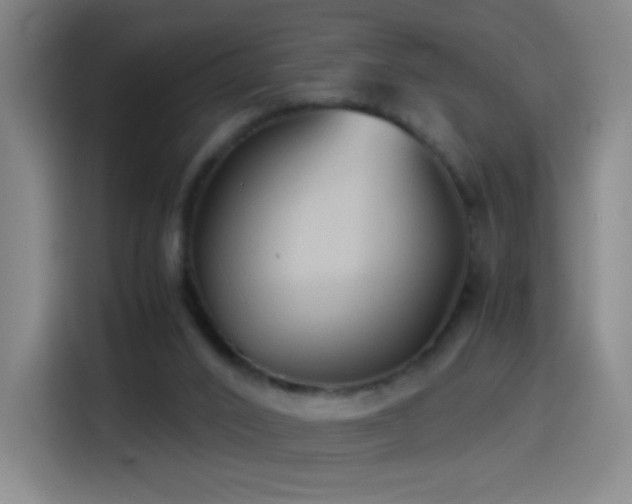 X0000114540016200910191351