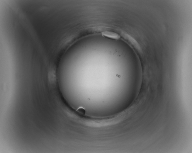 X0000114540017200910191351