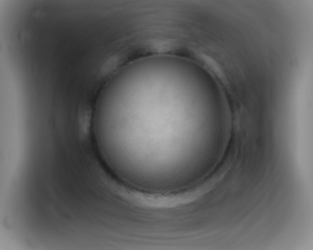 X0000114540018200910191351