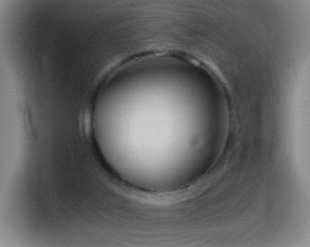 X0000114540019200910191351