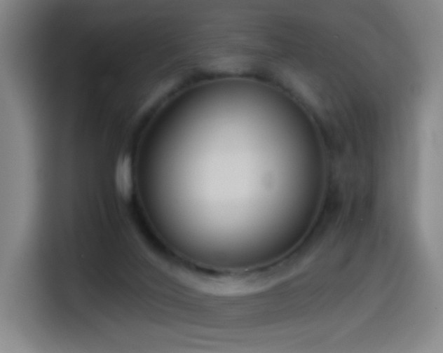 X0000114540020200910191351