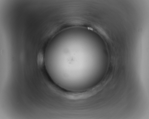 X0000114540021200910191351