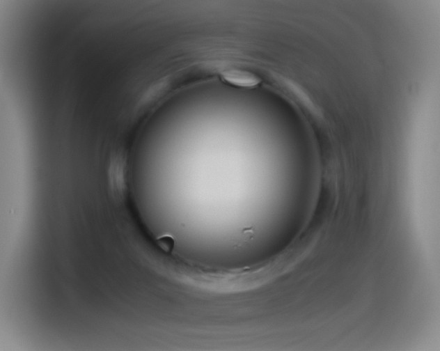 X0000114540023200910191351