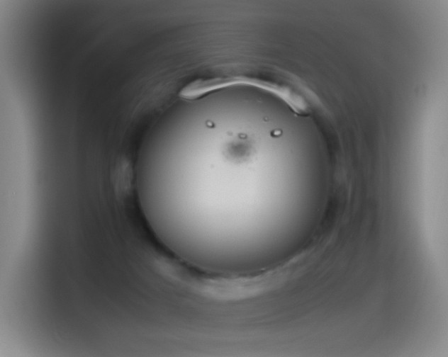 X0000114540025200910191351