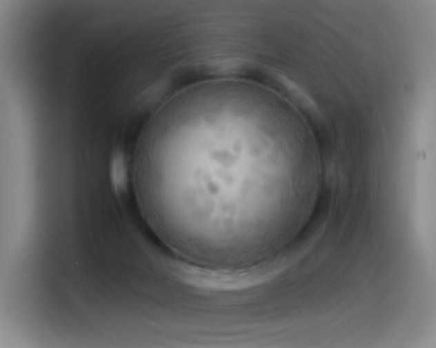 X0000114540026200910191351