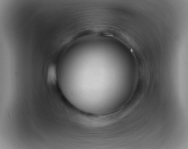 X0000114540028200910191351