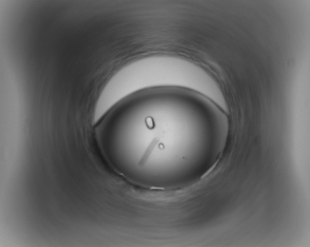 X0000114540029200910191351