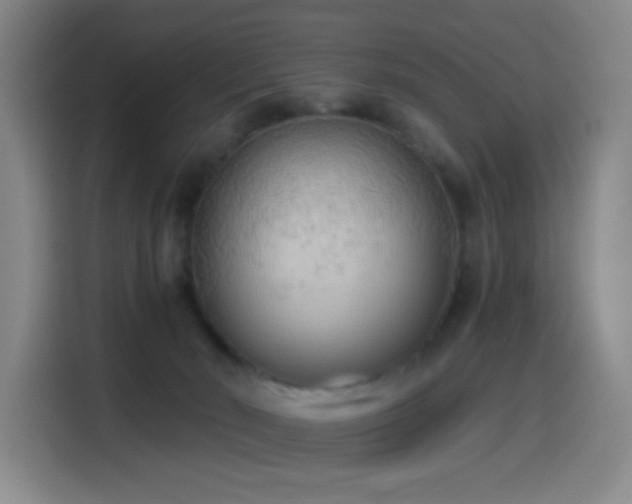 X0000114540030200910191351